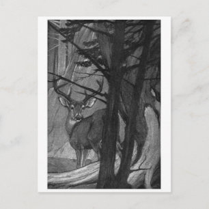 Classic Illustration Briefkaart