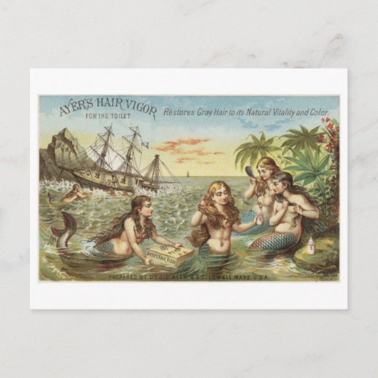 Classic Illustration Briefkaart (Voorkant)