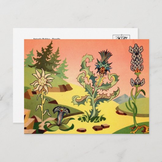 Classic Illustration Briefkaart (Voorkant / Achterkant)