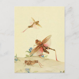 Classic Illustration Briefkaart