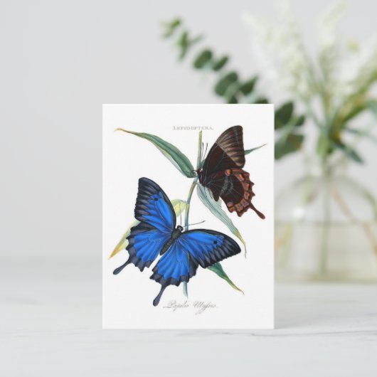 Classic Illustration Briefkaart (Staand voorkant)