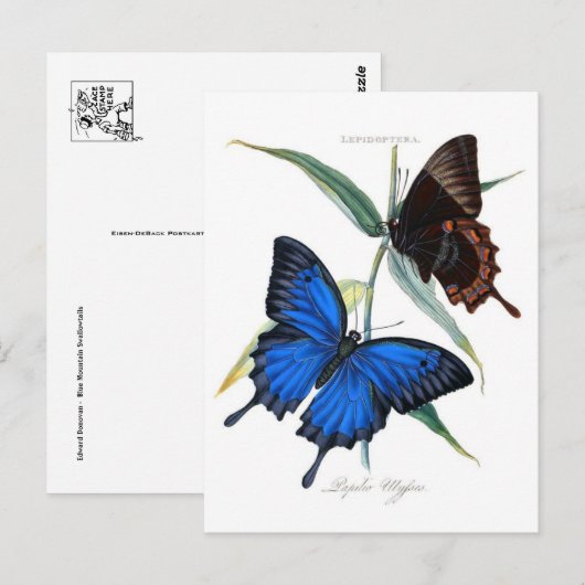 Classic Illustration Briefkaart (Voorkant / Achterkant)