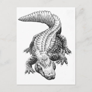 Classic Illustration Briefkaart