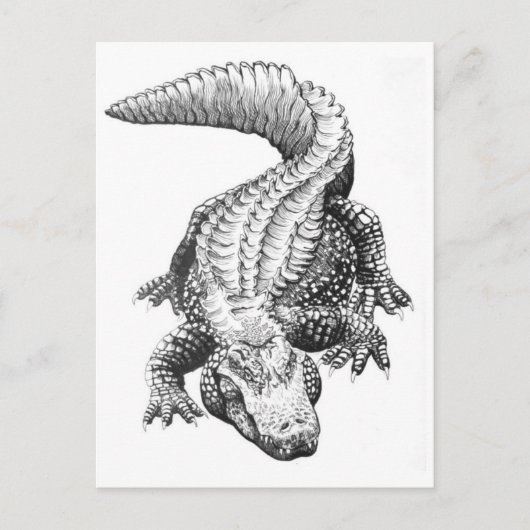 Classic Illustration Briefkaart (Voorkant)