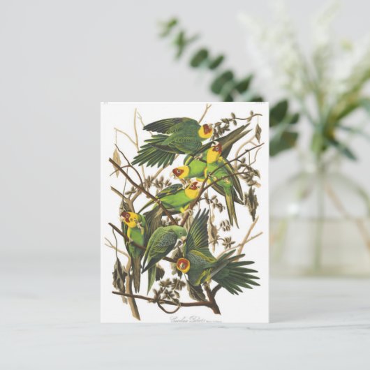 Classic Illustration Briefkaart (Staand voorkant)