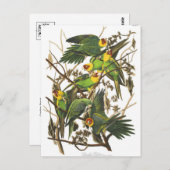 Classic Illustration Briefkaart (Voorkant / Achterkant)