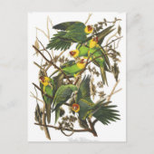 Classic Illustration Briefkaart (Voorkant)