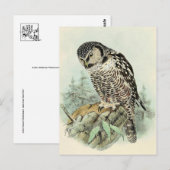 Classic Illustration Briefkaart (Voorkant / Achterkant)