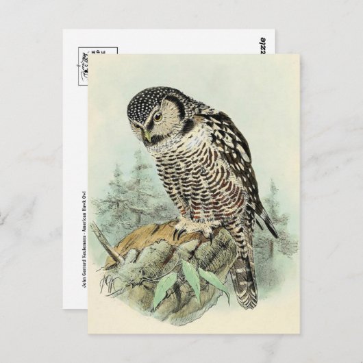 Classic Illustration Briefkaart (Voorkant / Achterkant)