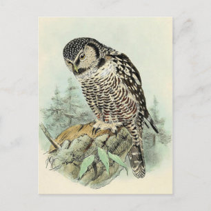 Classic Illustration Briefkaart