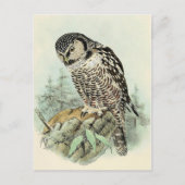 Classic Illustration Briefkaart (Voorkant)