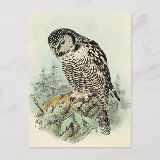 Classic Illustration Briefkaart (Voorkant)