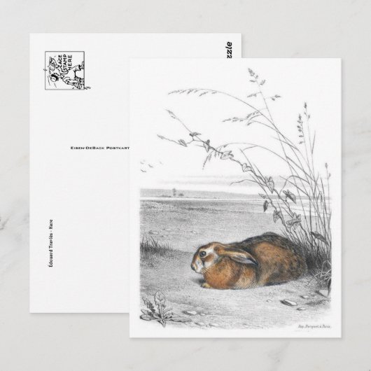 Classic Illustration Briefkaart (Voorkant / Achterkant)