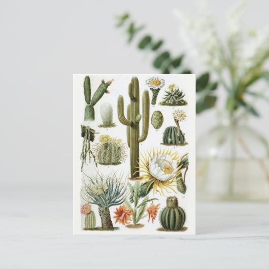 Classic Illustration Briefkaart (Staand voorkant)