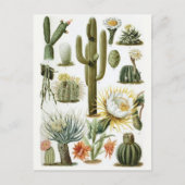 Classic Illustration Briefkaart