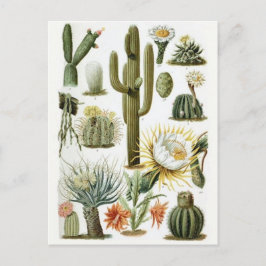 Classic Illustration Briefkaart