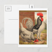 Classic Illustration Briefkaart (Voorkant / Achterkant)