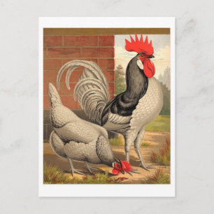 Classic Illustration Briefkaart