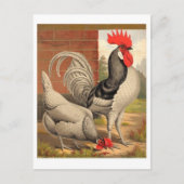 Classic Illustration Briefkaart (Voorkant)