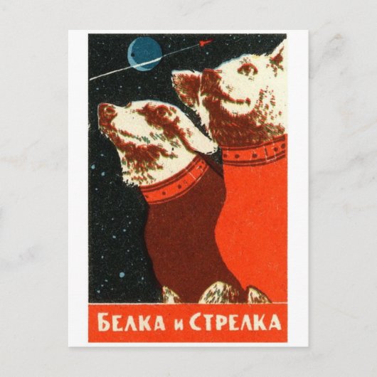 Classic Illustration Briefkaart (Voorkant)