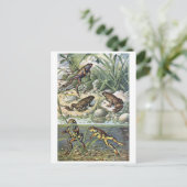 Classic Illustration Briefkaart (Staand voorkant)