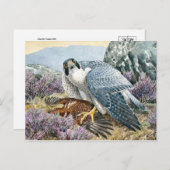 Classic Illustration Briefkaart (Voorkant / Achterkant)