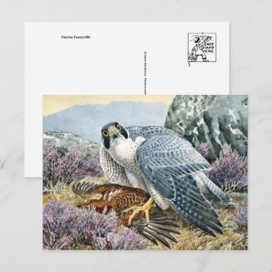 Classic Illustration Briefkaart (Voorkant / Achterkant)