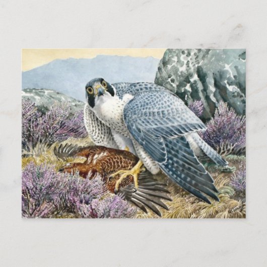 Classic Illustration Briefkaart (Voorkant)