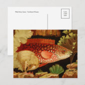 Classic Illustration Briefkaart (Voorkant / Achterkant)