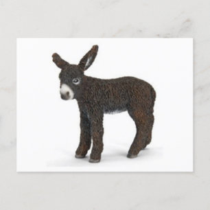 Classic Illustration Briefkaart