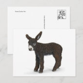 Classic Illustration Briefkaart (Voorkant / Achterkant)