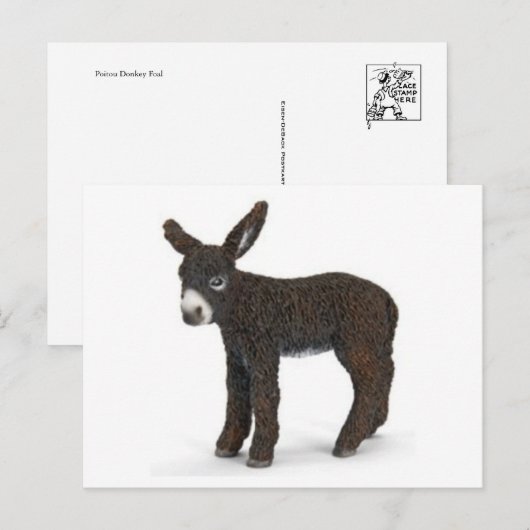 Classic Illustration Briefkaart (Voorkant / Achterkant)