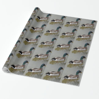 CLASSIC MALLARD DUCK CADEAUPAPIER