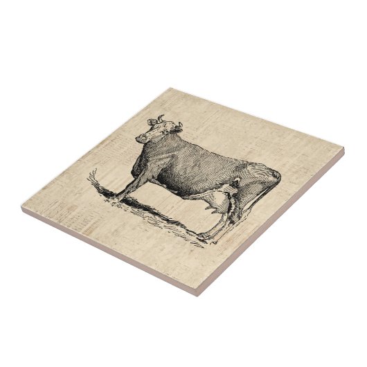 Classic Old Fashioned Koe Art Tegeltje (Zijkant)