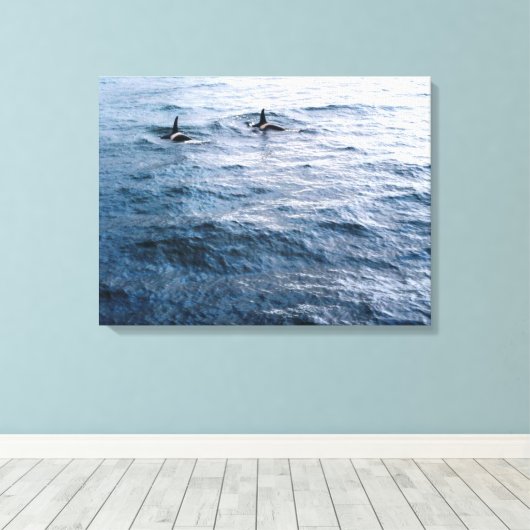 Classic Orca Whale Pair Ocean Scene Foto ontworpen Canvas Afdruk (Insitu (Houten vloer))