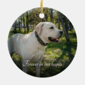 Classic Ornament voor aangepaste postpakketten (Achterkant)