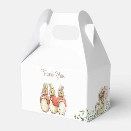 Classic Peter het Konijn Baby shower Bedankdoosjes (Achterkant)
