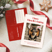 Classic Playful Funny Dog Pet Photo Christmas Feestdagenkaart