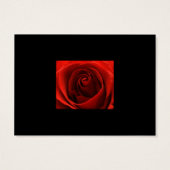 Classic Red Rose Save the Date Kaart (Achterkant)