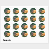 Classic Ronde Sticker, Glanzende Schattigee kat en Ronde Sticker (Vel)