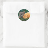 Classic Ronde Sticker, Glanzende Schattigee kat en Sticker (Tas)