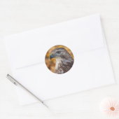 Classic ronde Sticker, Glossy Hawk profiel Sticker (Envelop)