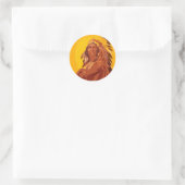 Classic Ronde Sticker, Native American Sticker (Tas)