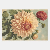Classic Roze Wit Dahlias Botanisch Inpakpapier Vel (Voorkant 3)