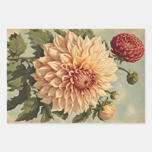  Classic Roze Wit Dahlias Botanisch Inpakpapier Vel (Voorkant 3)