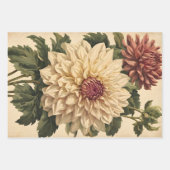Classic Roze Wit Dahlias Botanisch Inpakpapier Vel (Voorkant 2)