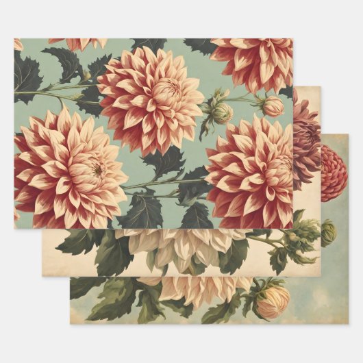 Classic Roze Wit Dahlias Botanisch Inpakpapier Vel (Set)