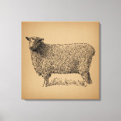 Classic Sheep Art Illustratie Antiek Boerderij Ani Canvas Afdruk (Voorkant)