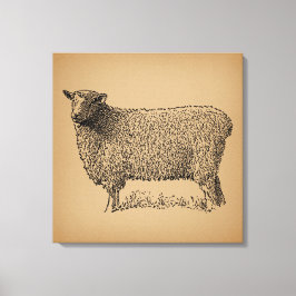 Classic Sheep Art Illustratie Antiek Boerderij Ani Canvas Afdruk