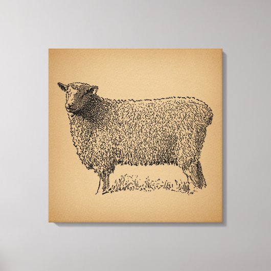 Classic Sheep Art Illustratie Antiek Boerderij Ani Canvas Afdruk (Voorkant)